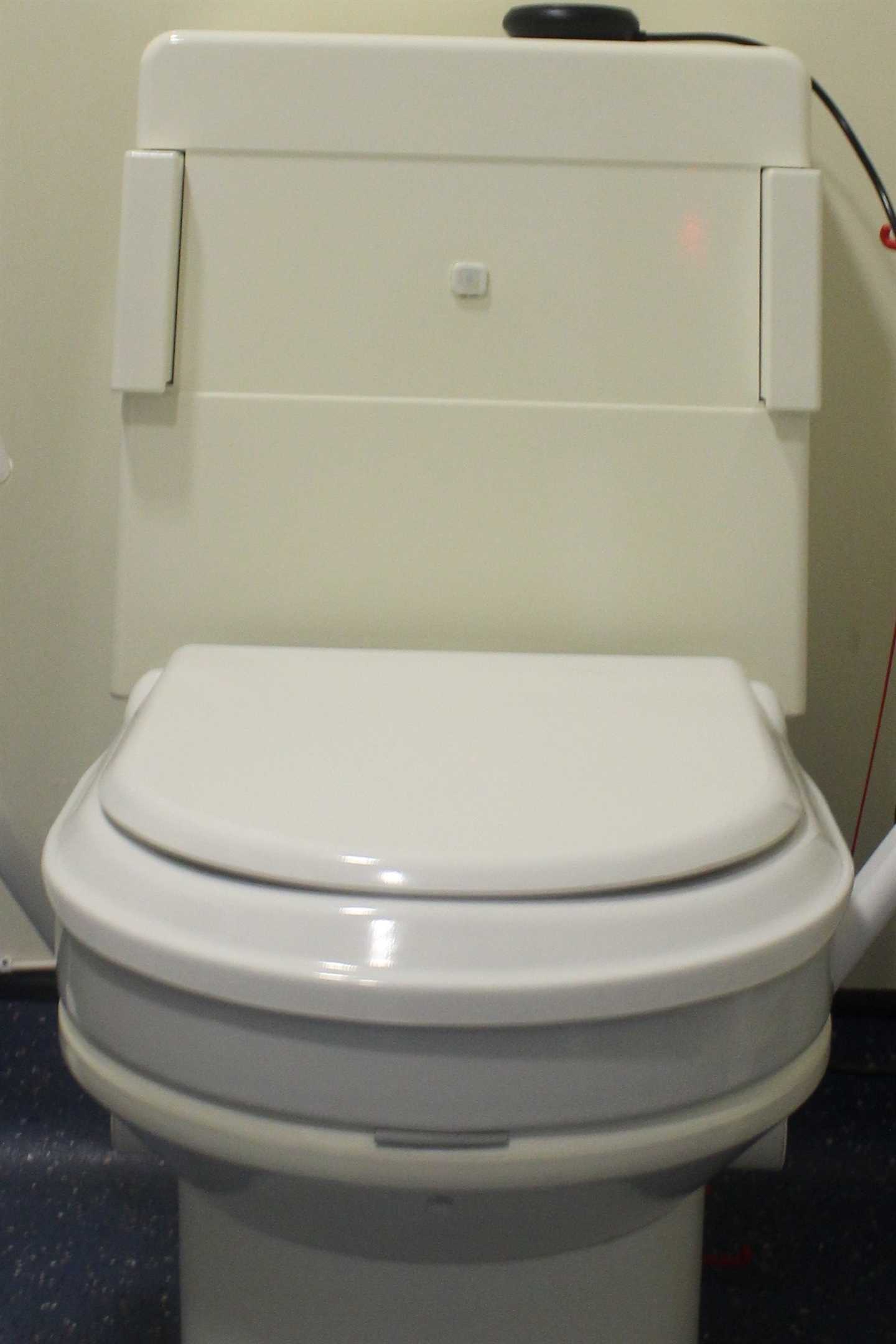 Bidet toilet