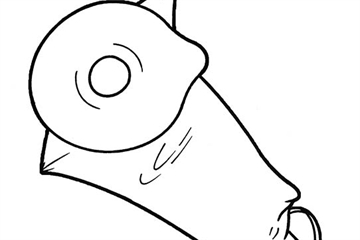 Penile pouch - line drawing