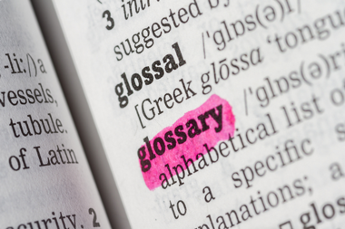 Glossary